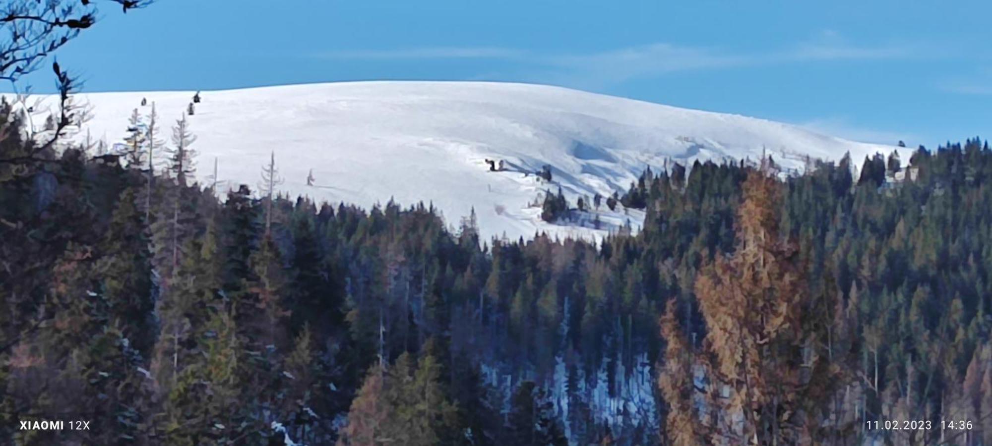 Schicke Ferien Wohnung Mit Tollem Ausblick In Schwarzwald. Villingen-Schwenningen Kültér fotó