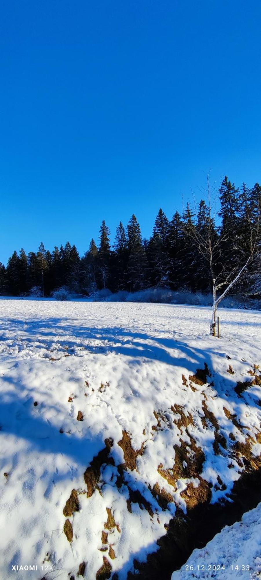 Schicke Ferien Wohnung Mit Tollem Ausblick In Schwarzwald. Villingen-Schwenningen Kültér fotó