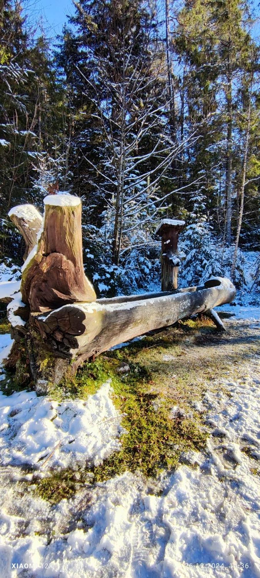 Schicke Ferien Wohnung Mit Tollem Ausblick In Schwarzwald. Villingen-Schwenningen Kültér fotó
